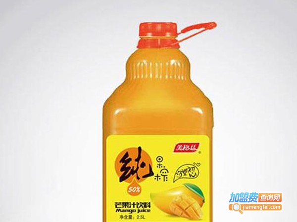 美格丝加盟费