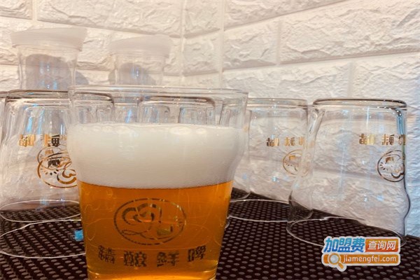 叁金叁啤酒加盟费