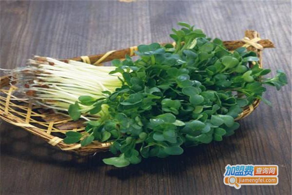 芽苗人家芽苗菜工坊加盟费