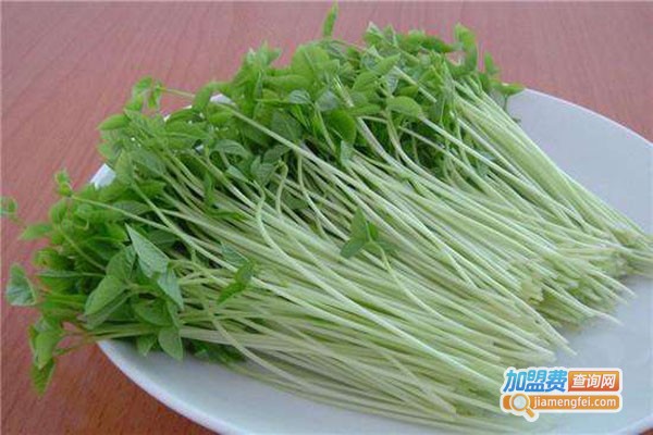 芽苗人家芽苗菜工坊加盟费