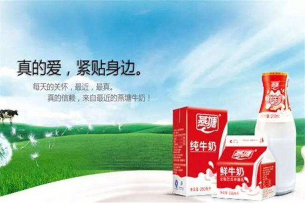 燕塘牛奶加盟费