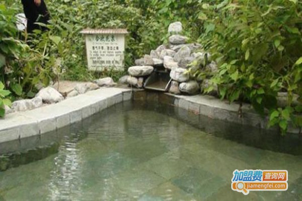 汤之花温泉酒店加盟费