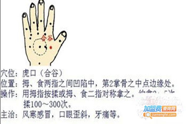紫语堂小儿推拿加盟费