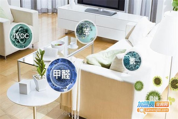 清除甲醛加盟费
