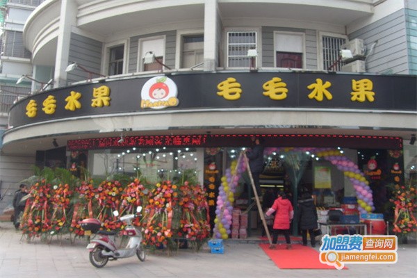 毛毛水果加盟费
