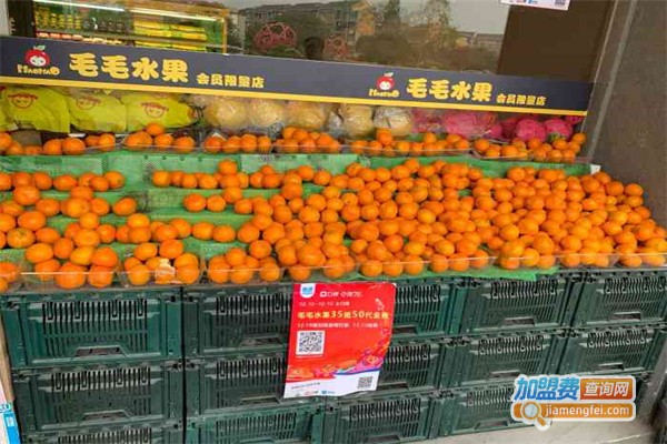 毛毛水果加盟费