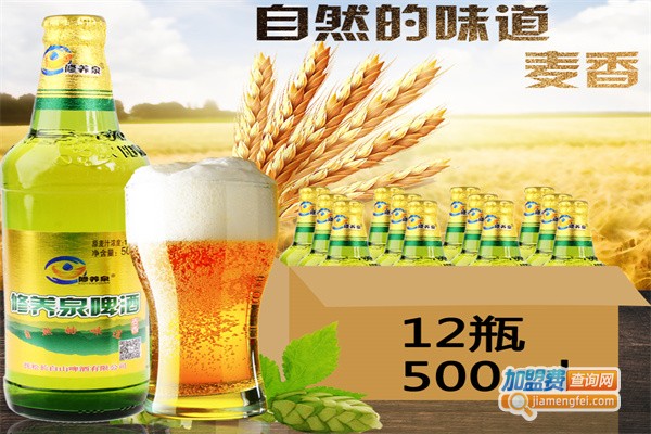 修养泉啤酒加盟费