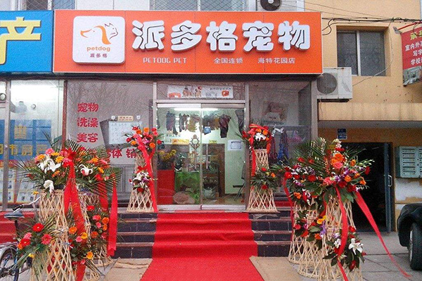 派多格宠物店加盟费