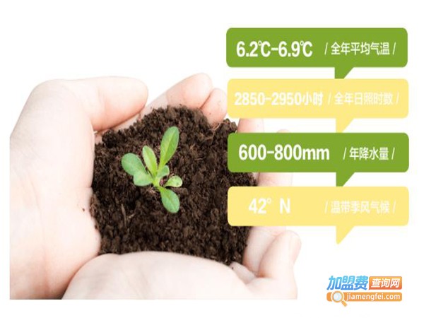 小茶里加盟费