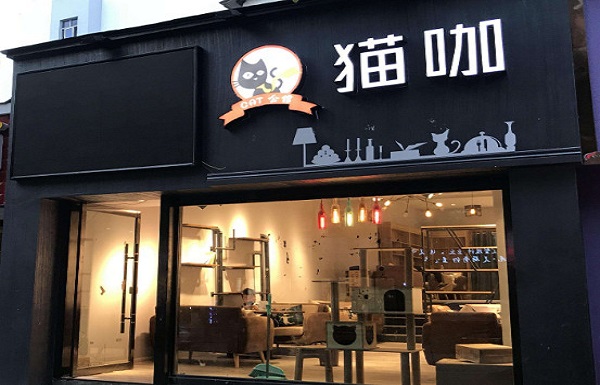 猫咖加盟费