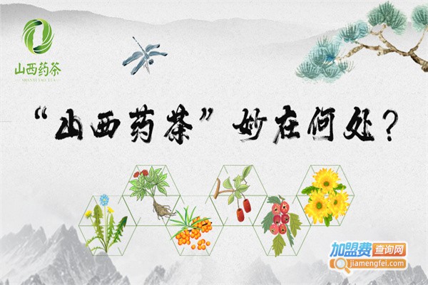 山西药茶加盟费