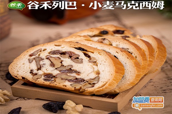 谷禾休闲食品加盟费