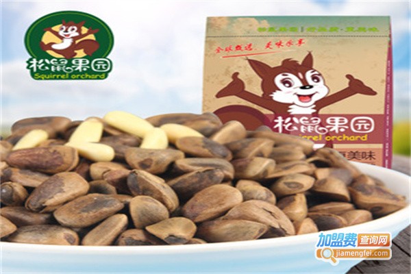 松鼠果园休闲食品加盟费