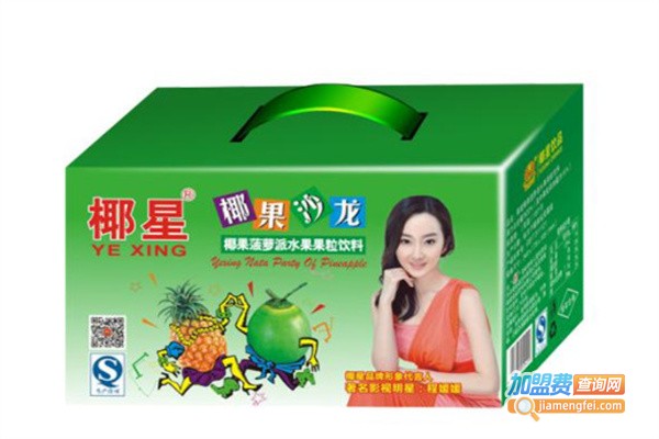 椰星休闲食品加盟费