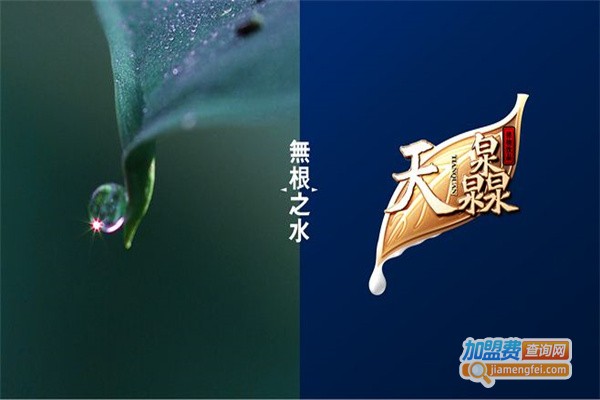 天灥植物饮品加盟费