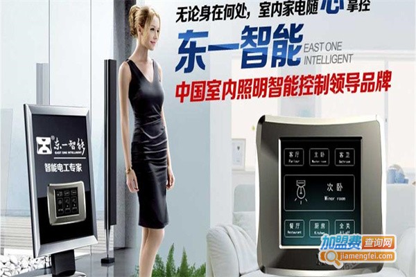 东一智能室内照明加盟费