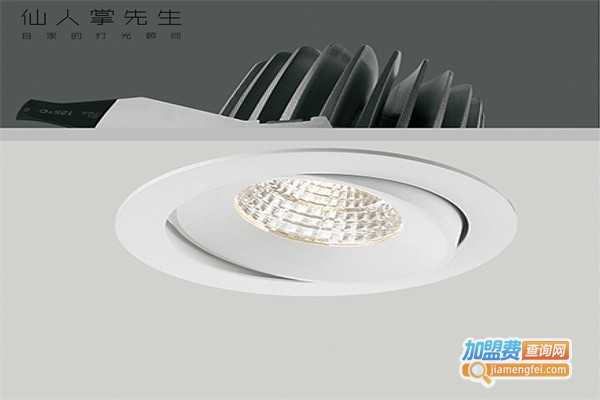 仙人掌先生照明加盟费