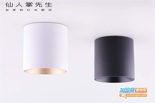仙人掌先生照明加盟费