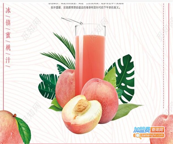 桃花坞加盟费