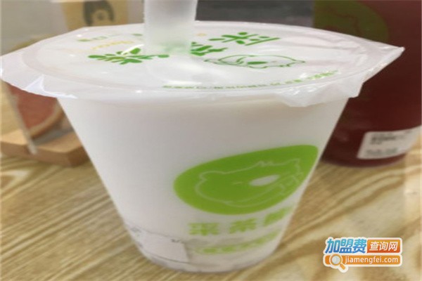采茶熊奶茶店加盟费