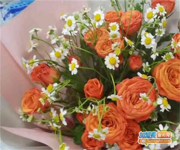 花仙女鲜花店加盟费