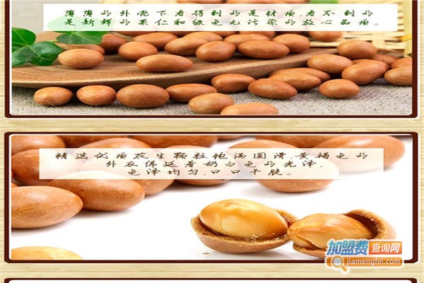 大小姐食品加盟费