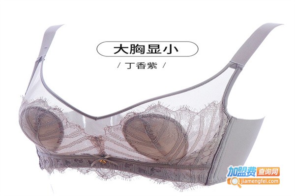 初吻内衣加盟费