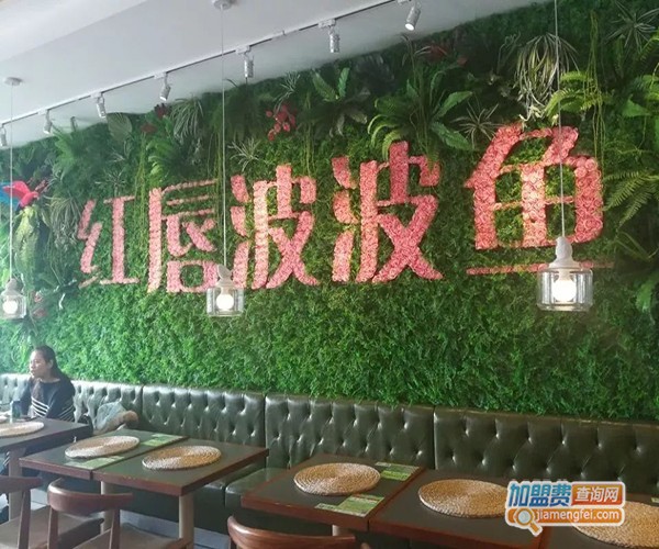 红唇啵啵鱼加盟费