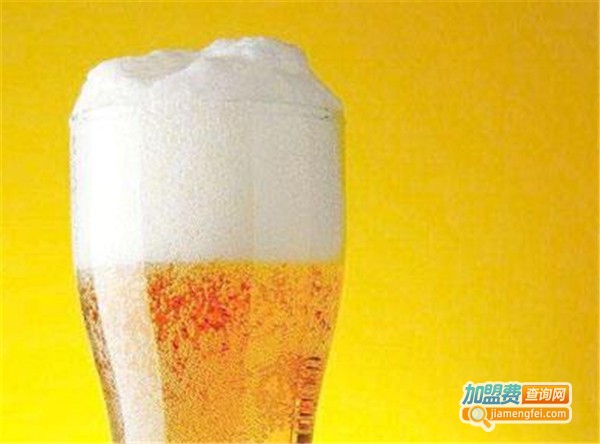优布劳精酿啤酒加盟费