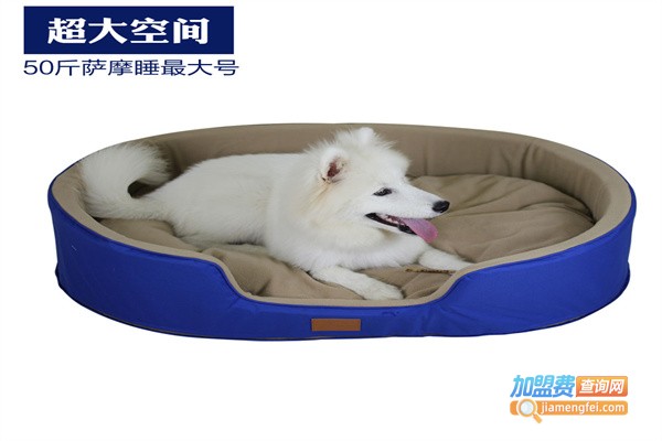 宠趣宠物用品加盟费