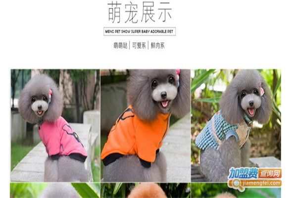 德丰宠物用品加盟费