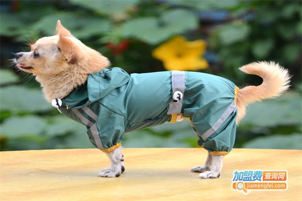 自由犬宠物用品加盟费