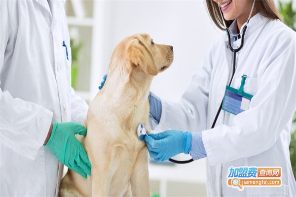 康犬宠物诊所加盟费