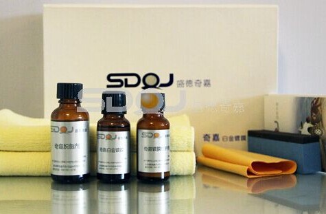 盛德奇嘉加盟费