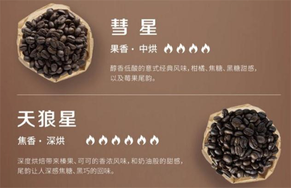 酷迪咖啡加盟费用