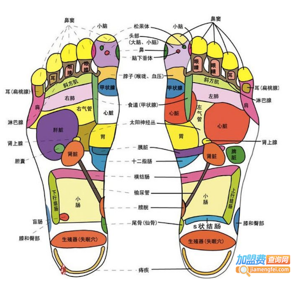 足疗店加盟费