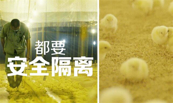 麦当劳加盟费