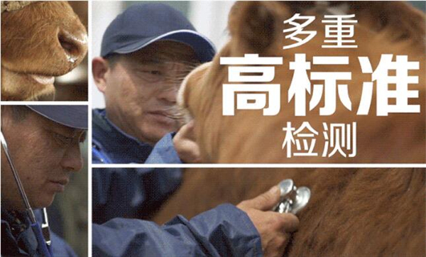 麦当劳加盟费