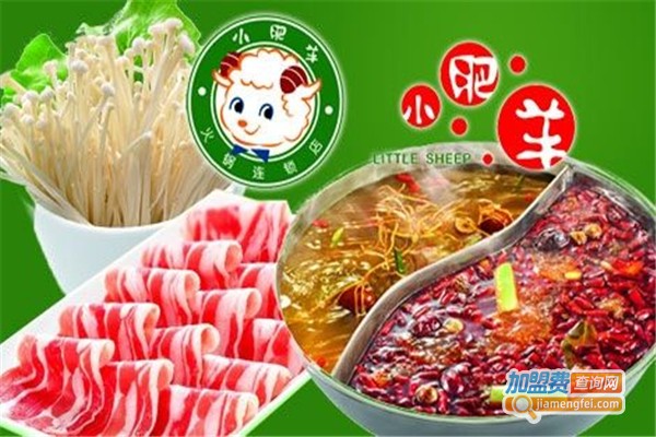 小肥羊火锅加盟费