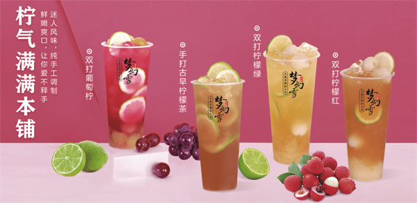 梦幻雪加盟费