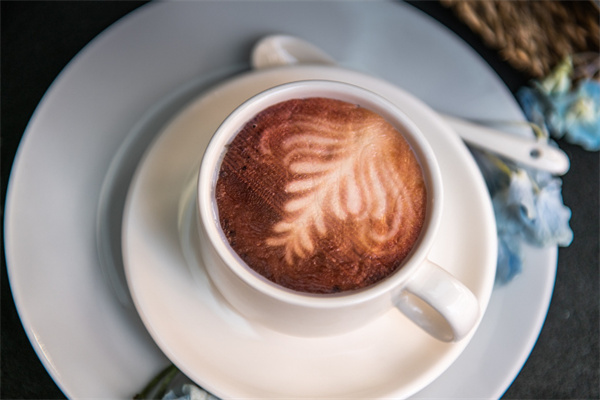 猫王咖啡加盟费