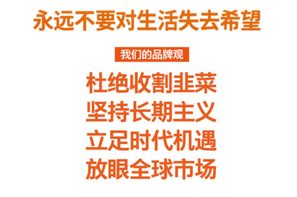 马姨爱洗鞋加盟费