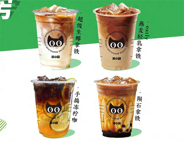 摩小咖加盟费