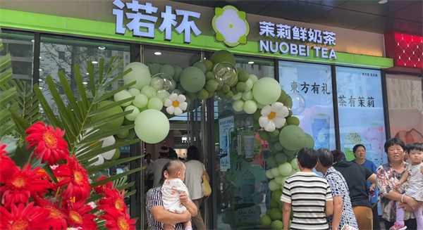 诺杯加盟费