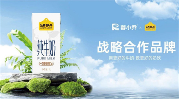 蓉小乔奶茶加盟费