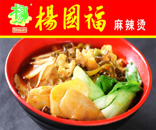 杨国福加盟费