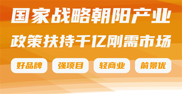 心智青加盟费