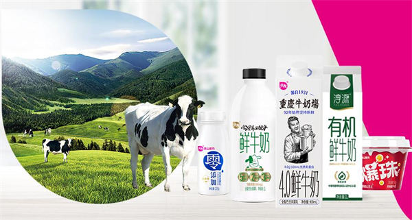 天友鲜奶配送到家加盟费