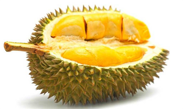 榴莲忆梦加盟费
