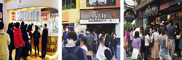 乌茶邦奶茶加盟费